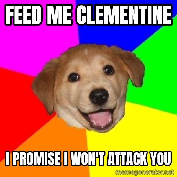 Advice Dog meme: FEED ME CLEMENTINE / I PROMISE I WON'T ATTACK YOU