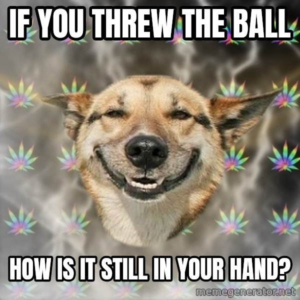 Stoner Dog meme: if you threw the ball / how is it still in your hand?