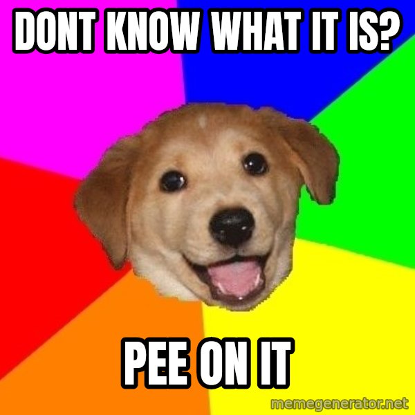 Advice Dog meme: dont know what it is? / pee on it