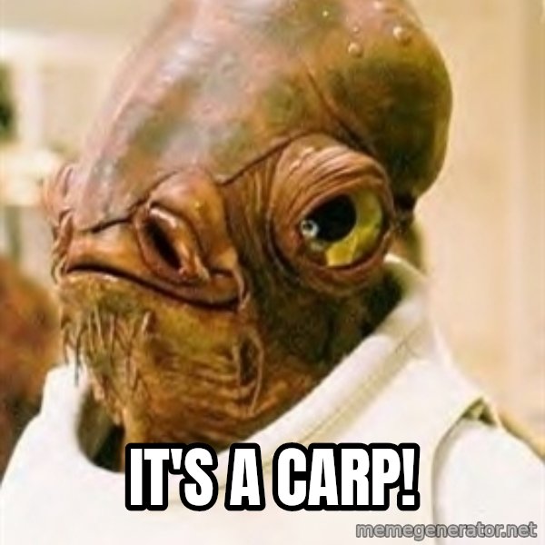 Its A Trap meme: It's a Carp!