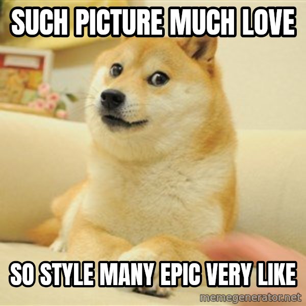 so doge meme: Such picture  much love / so style  many epic  very like