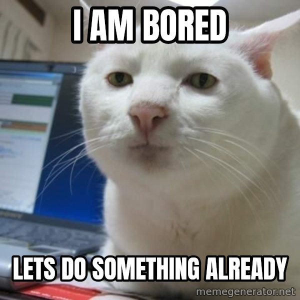 Serious Cat meme: i am bored / lets do something already