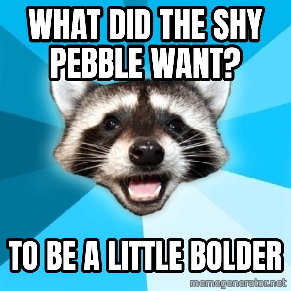 Lame Pun Coon meme: WHAT DID THE SHY PEBBLE WANT? / TO BE A LITTLE BOLDER