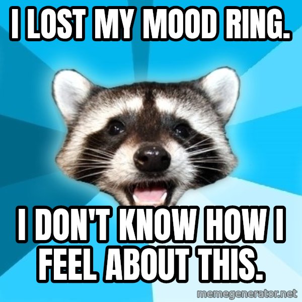 Lame Pun Coon meme: I LOST MY MOOD RING. / I DON'T KNOW HOW I FEEL ABOUt THIS.