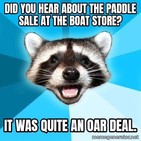 Lame Pun Coon meme: did you hear about the paddle sale at the boat store? / it was quite an oar deal.