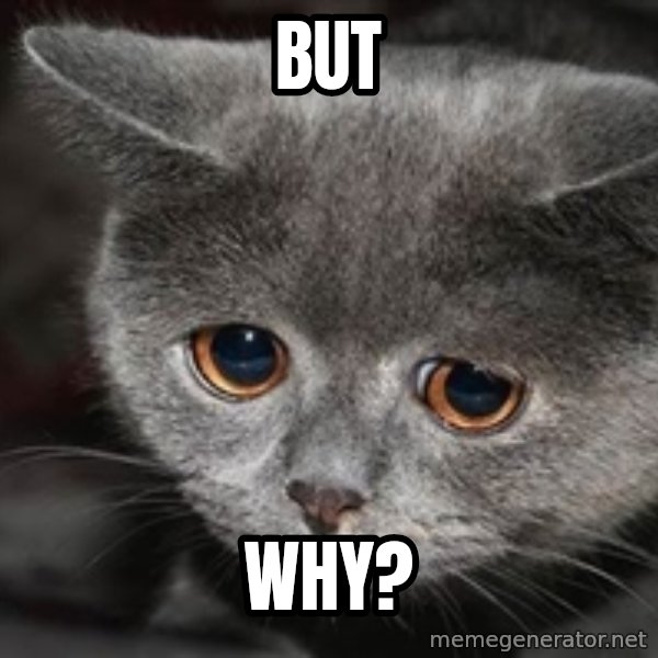 Sadcat meme: But / why?