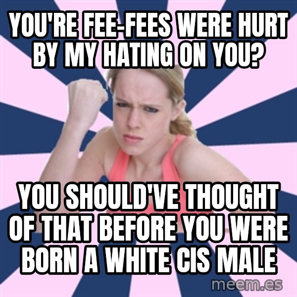 Social Justice Sally meme: you're fee-fees were hurt by my hating on you? / you should've thought of that before you were born a white cis male
