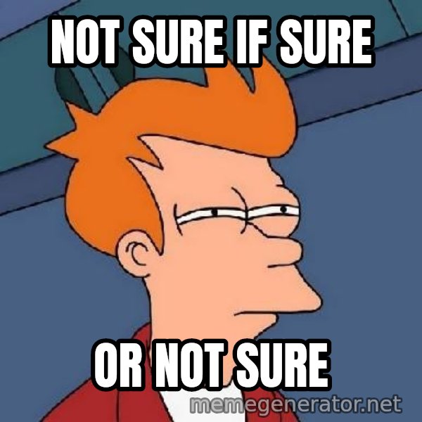 FRY FRY meme: NOT SURE IF SURE / OR NOT SURE