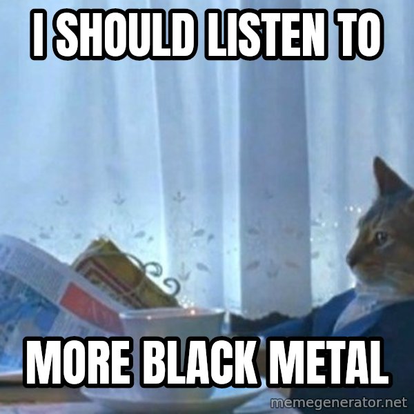 newspaper cat realization meme: I should listen to / more black metal