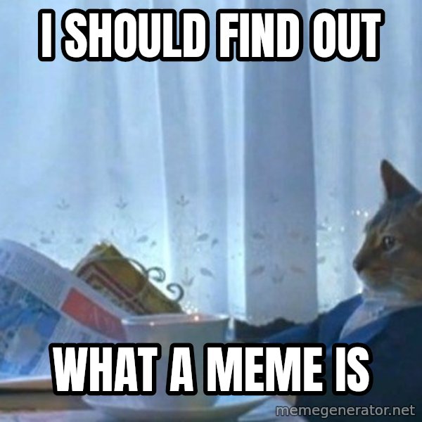 newspaper cat realization meme: I should find out / what a meme is