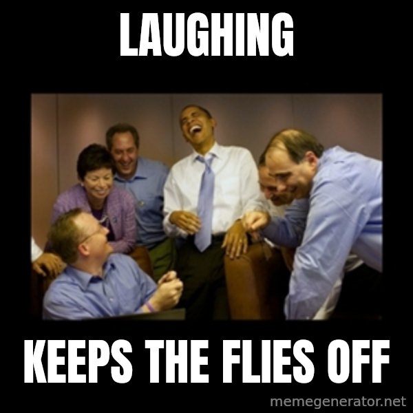 obama laughing  meme: laughing / keeps the flies off