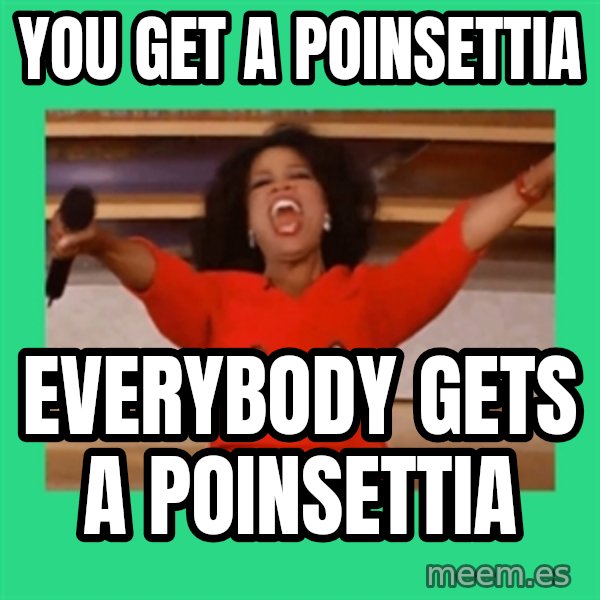 Oprah Car meme: YOU GET A POINSETTIA / EVERYBODY GETS A POINSETTIA