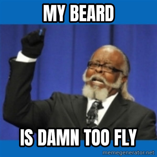 Rent Is Too Damn High meme: MY beard / is damn too fly
