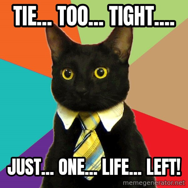 Business Cat meme: tie... too... tight.... / just... one... life... left!