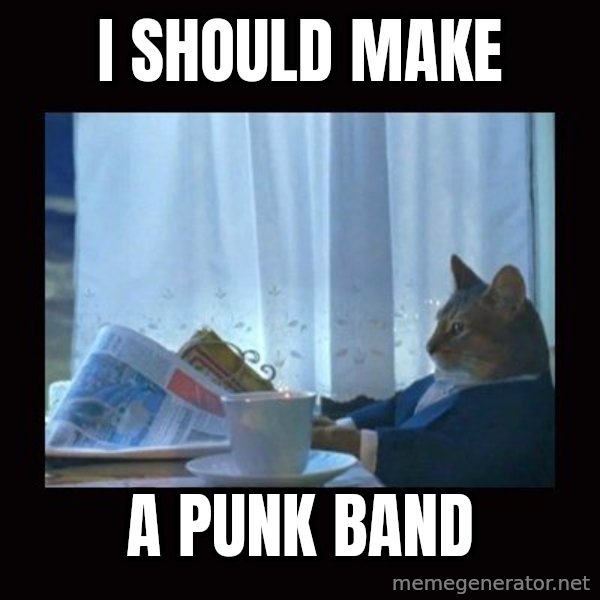 i should buy a boat cat meme: i should make / a punk band