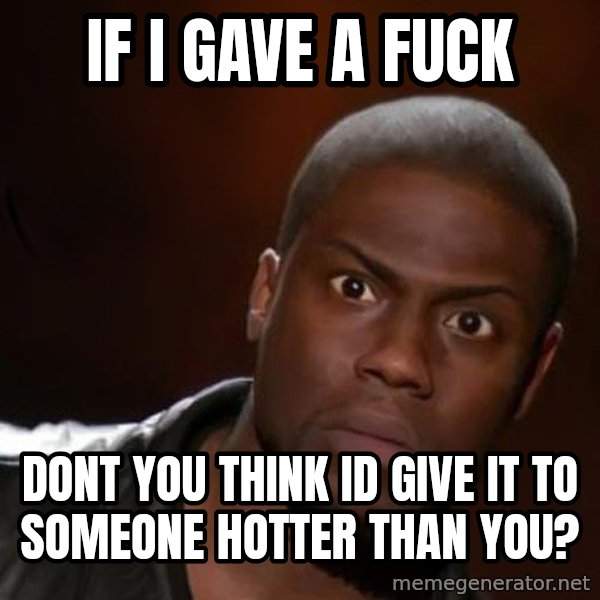 kevin hart nigga meme: if i gave a fuck / dont you think id give it to someone hotter than you?