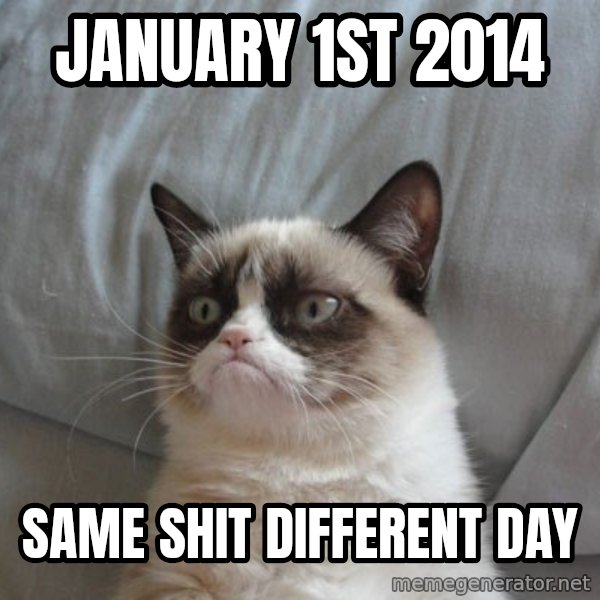 Grumpy cat good meme: january 1st 2014 / same shit  different day