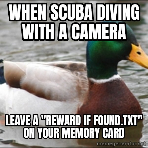 Actual Advice Mallard 1 meme: When scuba diving with a camera / Leave a "reward if found.txt" on your MEMORY card