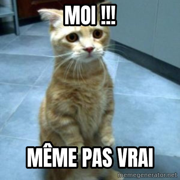 Sadcat meme: Moi !!! / Même pas vrai