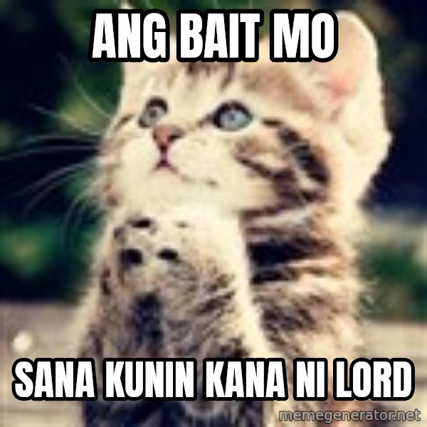 Praying Kitten meme: ang bait mo / sana kunin kana ni lord