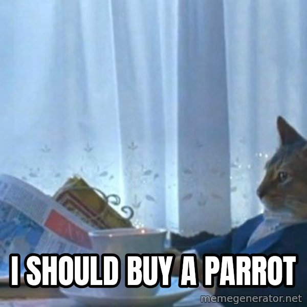 newspaper cat realization meme: I should buy a parrot
