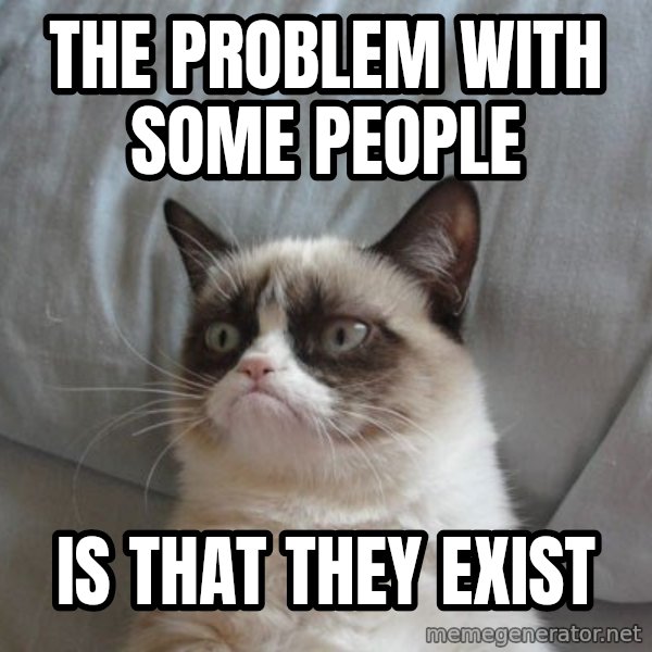 Grumpy cat good meme: the problem with some people / is that they exist