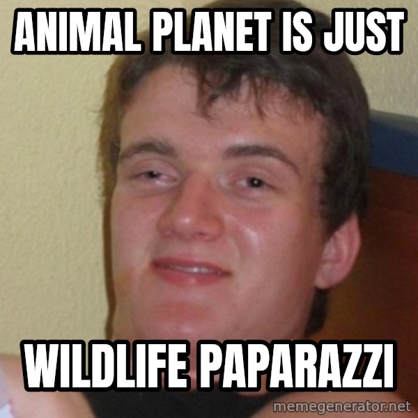 Stoner Stanley meme: animal planet is just / wildlife Paparazzi