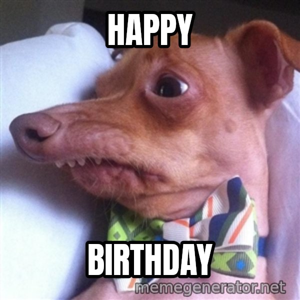 Tuna, the "Phteven" dog meme: Happy / Birthday