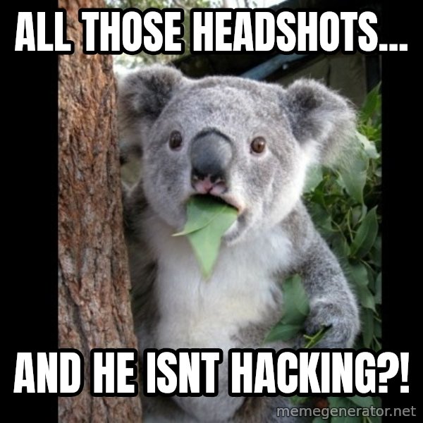 Koala can't believe it meme: All those headshots... / and he isnt hacking?!