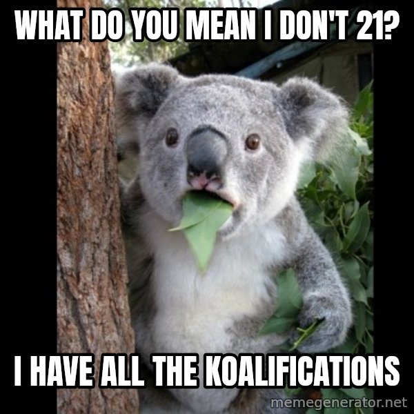 Koala can't believe it meme: What do you mean i Don't 21? / i have all the koalifications