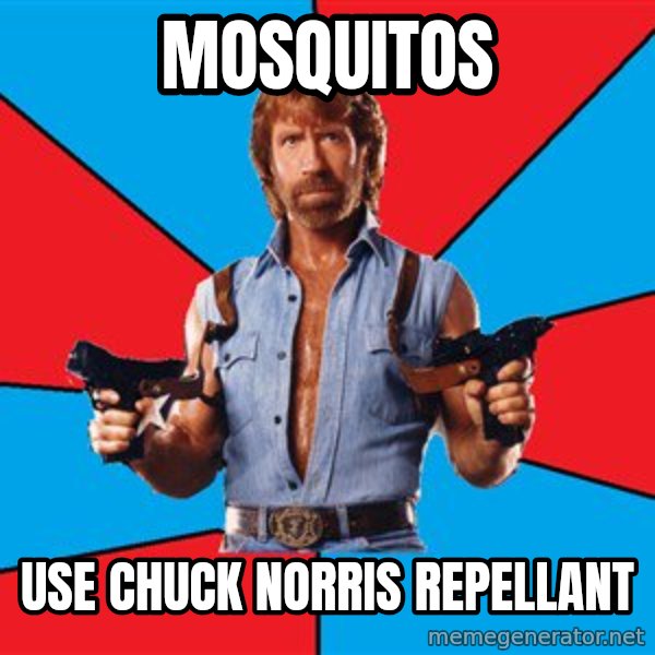Chuck Norris  meme: mosquitos / use chuck norris repellant