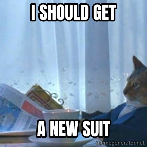 newspaper cat realization meme: i should get / a new suit