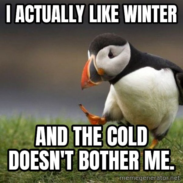 Unpopular Opinion Puffin meme: I actually like winter / and the cold doesn't bother me.
