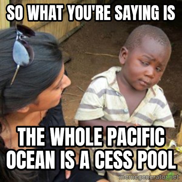 Skeptical 3rd World Kid meme: So what you're saying is / the whole pacific ocean is a cess pool