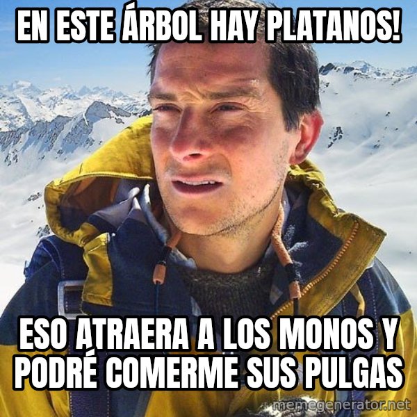 Bear Grylls Loneliness meme: en este ÁRBOL hay platanos! / eso atraera a los monos y podré comerme sus pulgas