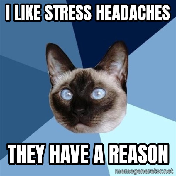 Chronic Illness Cat meme: i like stress headaches / they have a reason