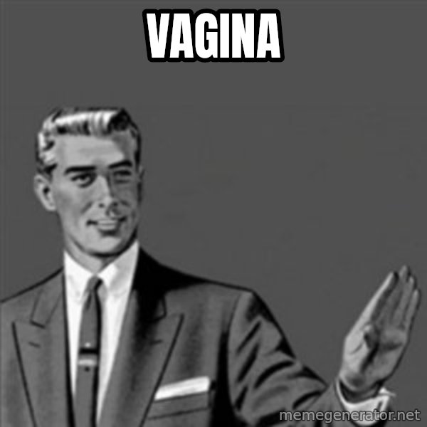 Correction Guy meme: vagina