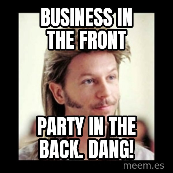 Joe Dirt meme: Business in the front / party in the back. DANG!
