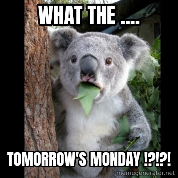 Koala can't believe it meme: WHat the .... / tomorrow's monday !?!?!