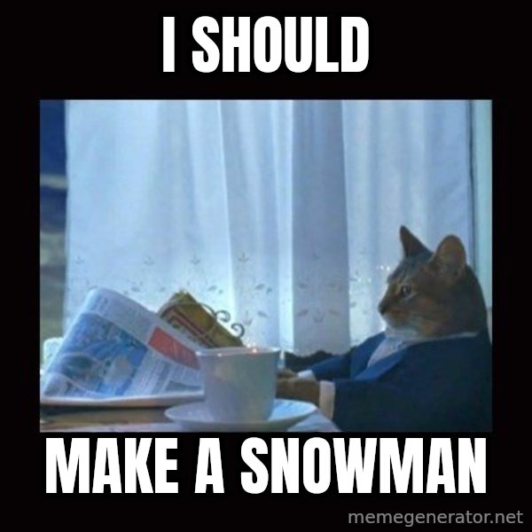 i should buy a boat cat meme: I SHOULD / MAKE a SNOWMAN