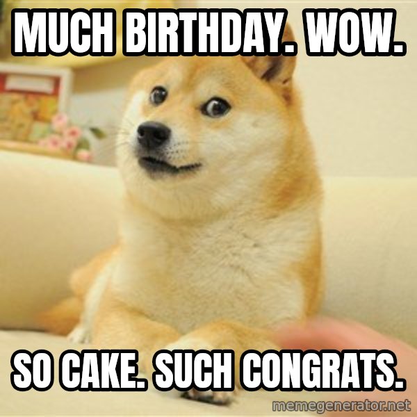 so doge meme: Much Birthday. Wow. / So Cake. Such Congrats.