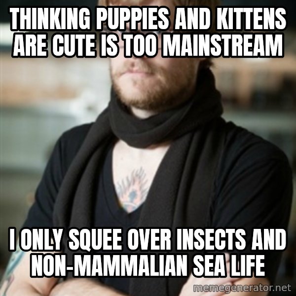hipster Barista meme: thinking puppies and kittens are cute is too mainstream / I only squee over insects and non-mammalian sea life