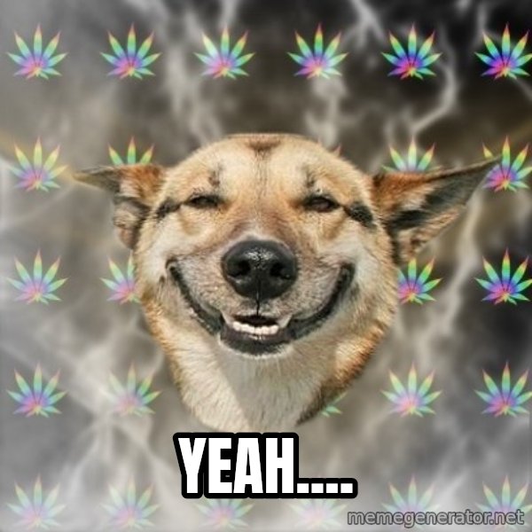 Stoner Dog meme: Yeah....