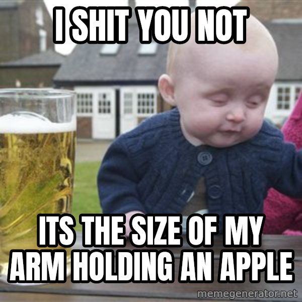 drunk baby 1 meme: I shit you not / its the size of my arm holding an apple
