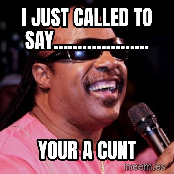 stevie wonder meme: i just called to say.................... / your a cunt