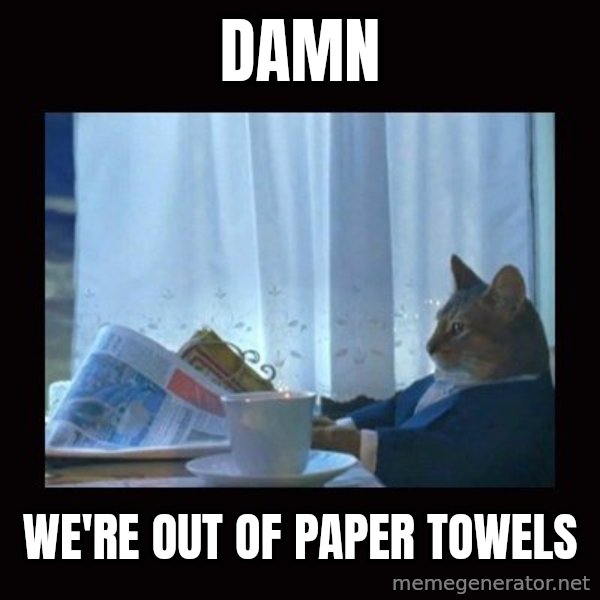 i should buy a boat cat meme: damn / we're out of paper towels