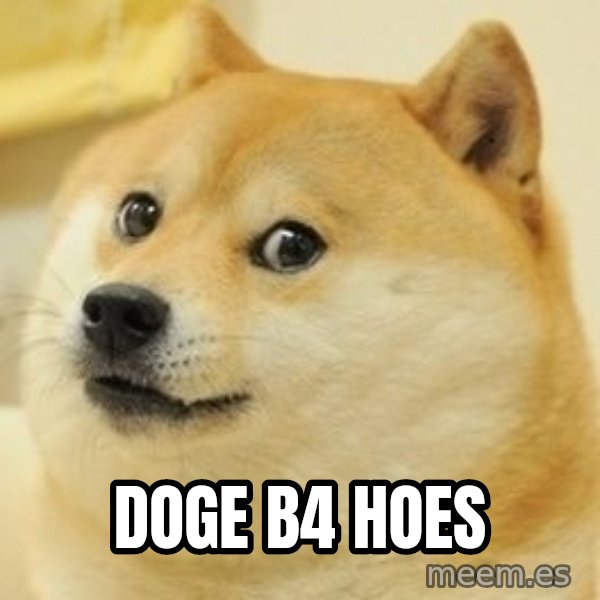 Real Doge meme: Doge B4 Hoes