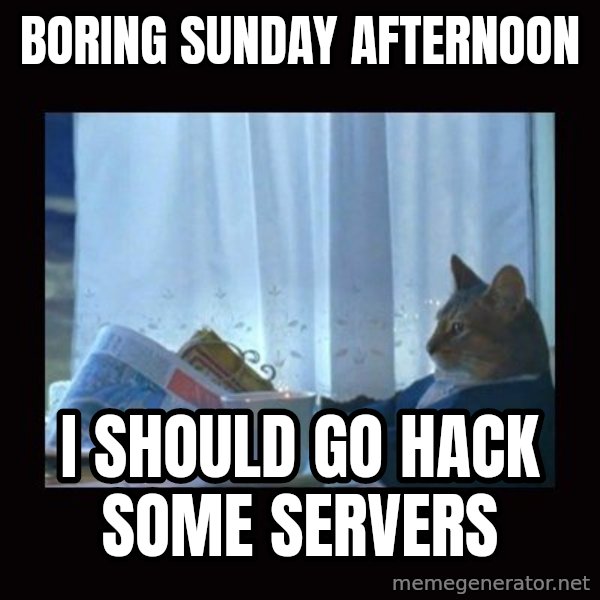 i should buy a boat cat meme: boring sunday afternoon / I should go hack some servers