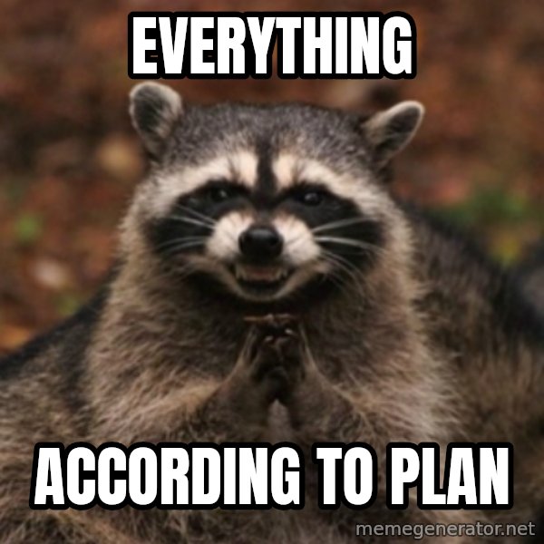 evil raccoon meme: everything / according to plan