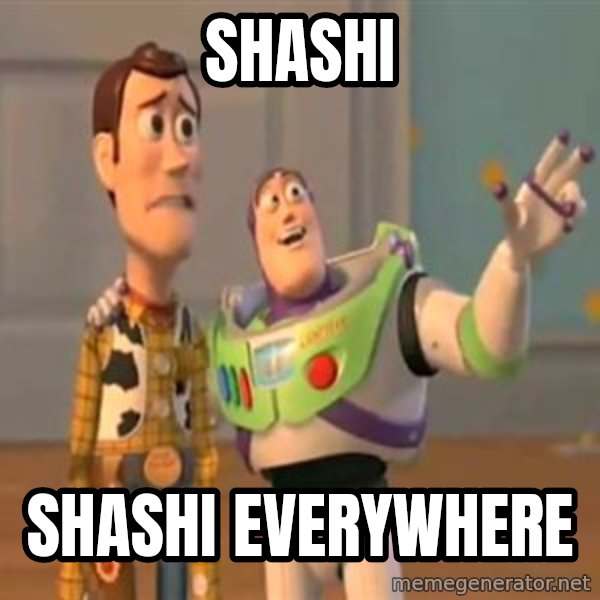 X, X Everywhere  meme: shashi / shashi everywhere